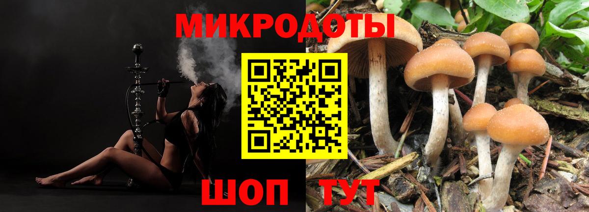 магазин продажи   Вход с VPN  Вязники  Псилоцибиновые грибы мухоморы 